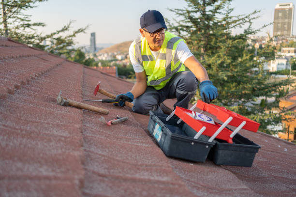 Best Steel Siding Installation  in Taylor, TX