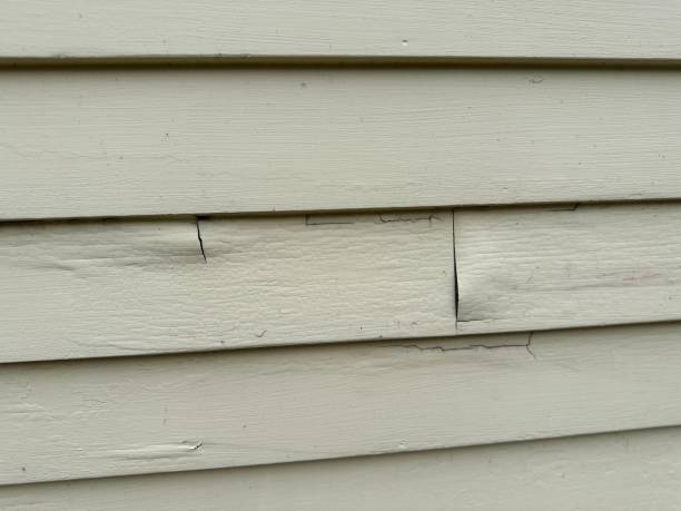 Best Stucco Siding  in Taylor, TX